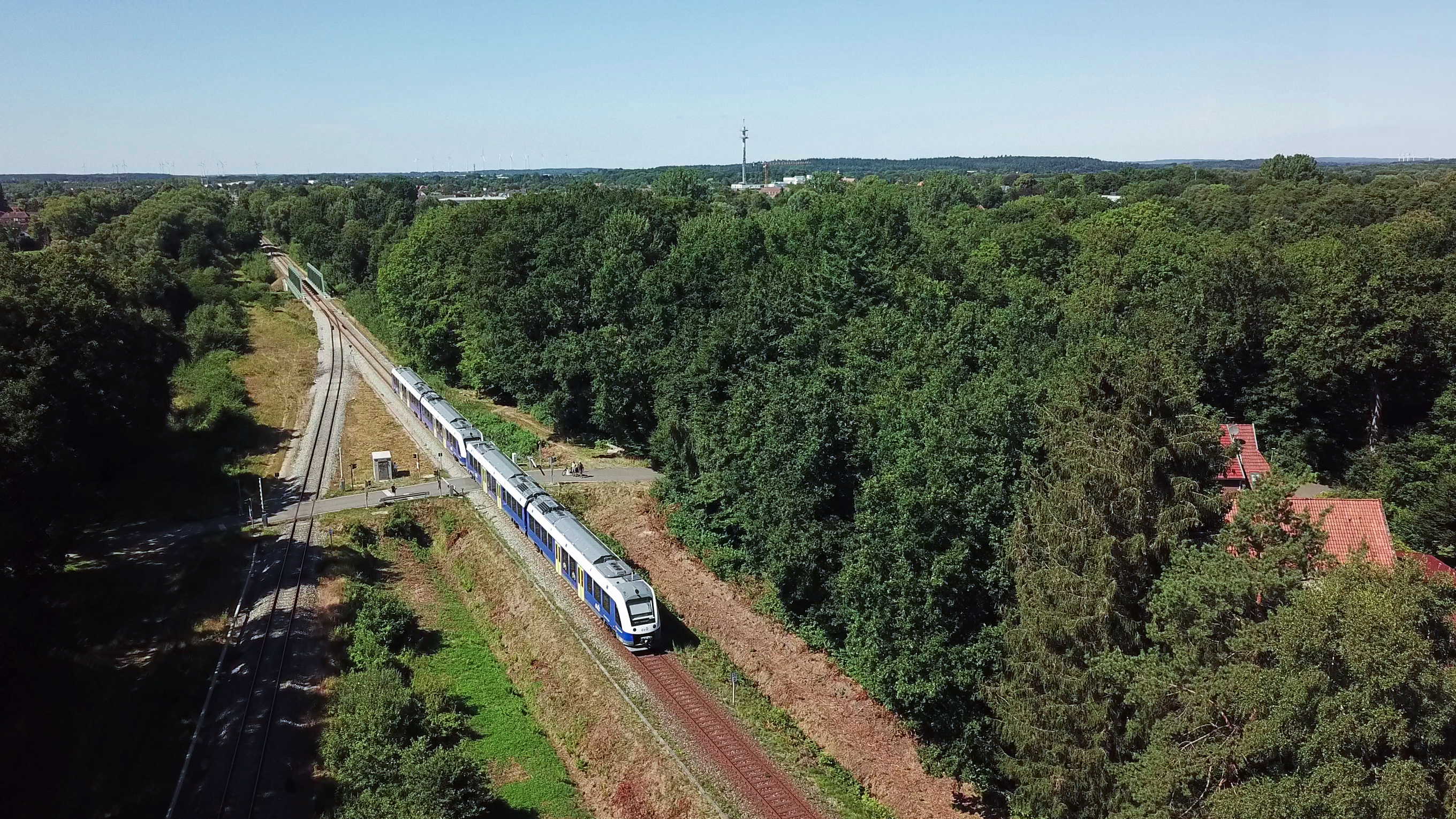 Extreme Drohnenperspektive auf einen fahrenden Wasserstoffzug kurz nach einer Streckengabelung mit sommerlicher Waldlandschaft
